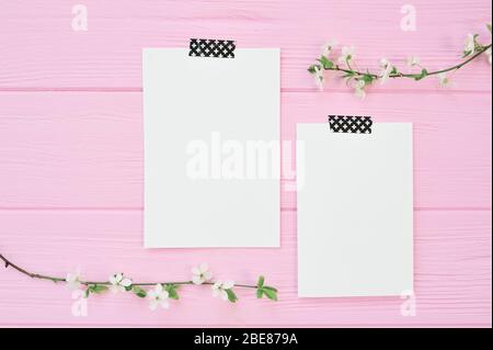 Two branches of white cherry flowers on pink wooden background with two sheet of mockup papers with place for your text. For greeting card, banner