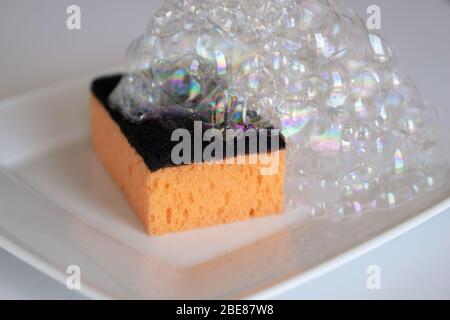 Foam sponge for washing dishes, white plate on a white background with foam Stock Photo