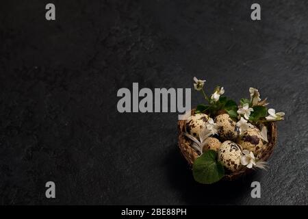 easter composition. eggs in the nest and small flowers on a black background Stock Photo