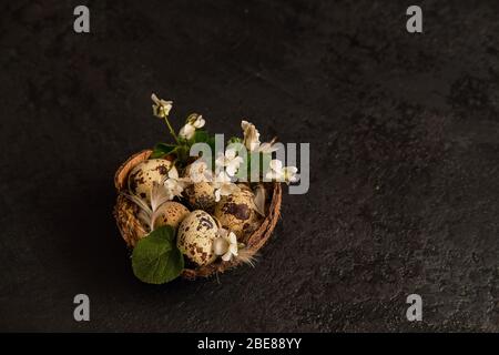 easter composition. eggs in the nest and small flowers on a black background Stock Photo