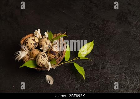 easter composition. eggs in the nest and leaves Stock Photo