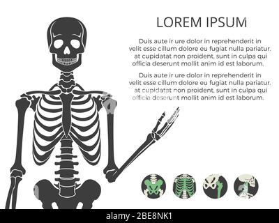 Medicinal poster or banner with human skeletone and bones. Vector illustration