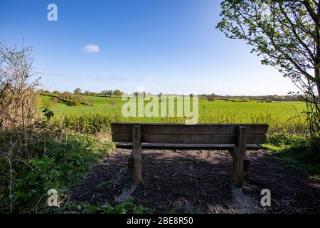 Empty bench with view in the Cheshire countryside UK Stock Photo