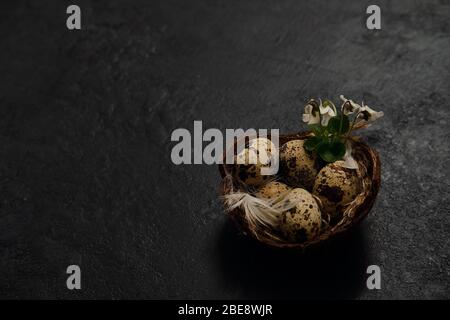 eggs in the nest and green leaves on a black background. Concept easter Stock Photo
