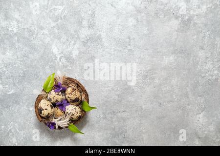 easter composition. eggs in the nest and green leaves on a gray background. Stock Photo