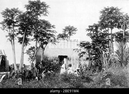 'English: A Native Grass House of the Humbler Class (Henshaw). Bureau of American Ethnology, Thirty Third Annual Report, Plate 95.; before 1918 date QS:P,+1918-00-00T00:00:00Z/7,P1326,+1918-00-00T00:00:00Z/9; (1918)  The Hawaiian Romance of Laieikawai, Washington, D.C.:  Government Printing Office, p. 346; Henshaw; '