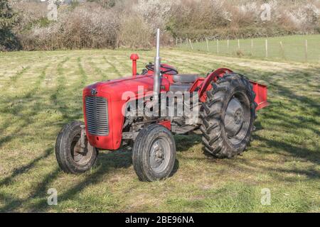 Old red tractor parked in a sunny paddock / small field. Classic British tractor believed to be a Massey Ferguson 35 or a variant. Stock Photo