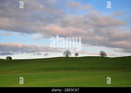 Hilly landscape in the Bavarian Alpine foothills near Steingaden im Allgäu, Swabia, Bavaria, Germany, Europe Stock Photo