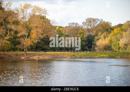 Hampstead No 2 Pond at Hampstead Heath in London Stock Photo