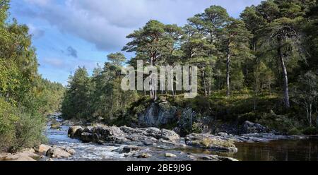 Glen Affric, Beauly, Inverness-Shire, Scotland, UK. 24/09/19. Looking downstream from the Bridge over River Affric at Dog Falls. In Glen Affric Stock Photo