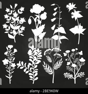 White herbal and floral silhouettes on chalkboard. Vintage branch floral. Vector illustration Stock Vector