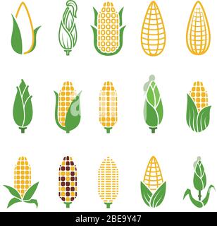 Organic corn vector icons isolated on white background. Corn and corncob vegetable organic illustration Stock Vector