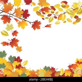 Autumn beauty, falling leaves, frame - vector illustration Stock Vector