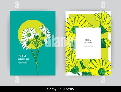 Hand drawn close-up Chrysanthemum flower artistic vector illustration ...