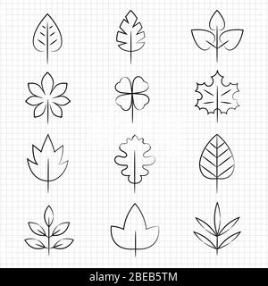 Thin line leaves collection on notebook page. Linear leaf, vector illustration Stock Vector