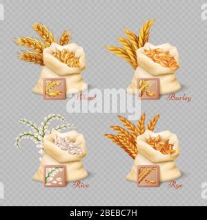Agricultural cereals sacks isolated on transparent background. Grain harvest barley and rice, vector illustration Stock Vector