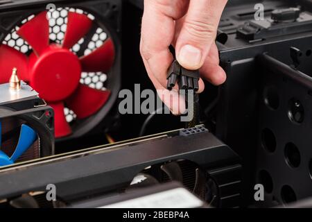 pc engineer hand holding 6 plus 2 pin video card power connector while maintenance. Stock Photo