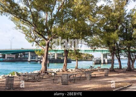 Haulover Park Bayside picnic area, Miami-Dade County, Florida, USA 