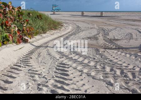 Tire tracks on a sand beach, Miami, Florida, USA. Stock Photo