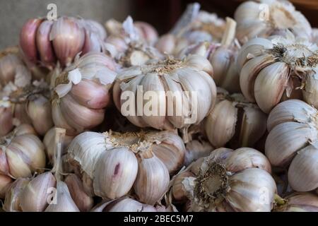 Fresh garlic on sale at the Funcal fresh fruit and flower Market, Madeira Stock Photo