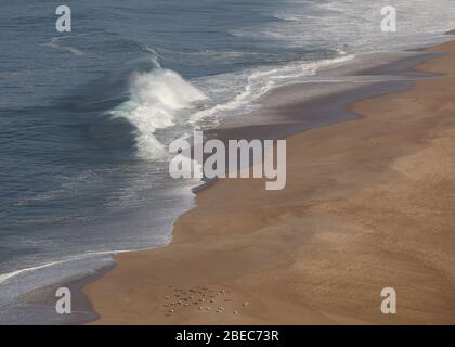 A view of Praia do Norte as big waves crash on the beach. Nazare is one of the most popular seaside resorts on the Silver Coast in Portugal. Stock Photo