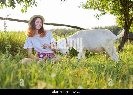 Humor, white home farm goat butting teenager girl. Summer scenic sunset landscape Stock Photo