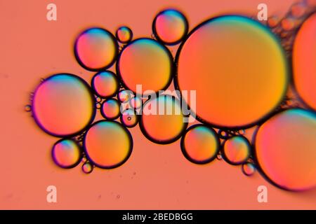Orange colored oil bubbles in a liquid as abstract background Stock Photo