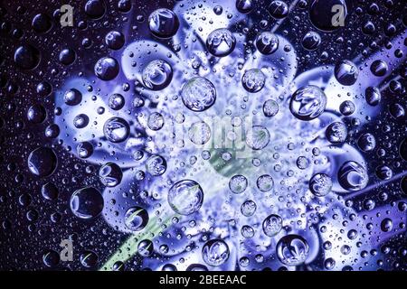 Abstract flower through a drops of water on a glass Stock Photo