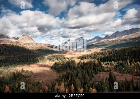 Rocky mountains with sunlight on pine forest and cloudy in blue sky at national park Stock Photo