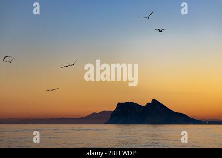 Birds flying around the of Gibraltar seen at sunset from Alcaidesa beach in Spain Stock Photo