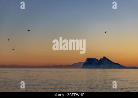 Birds flying around the of Gibraltar seen at sunset from Alcaidesa beach in Spain Stock Photo