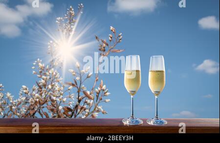 Two glasses of champagne against blue sky. Blurred spring blossom in the background. Stock Photo