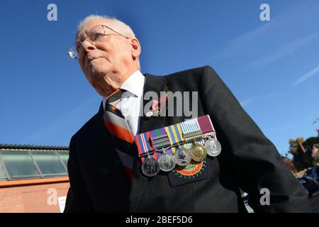 Ellesmere Remembrance Service. Wearing his medals with pride World War 2 veteran 86 year old Gordon Millhouse in November 2013 Stock Photo