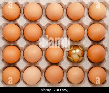 Golden egg. Standing out from the crowd concept. Overhead Stock Photo