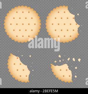 Bitten chip biscuit cookie, cracker isolated on transparent background. Vector illustration Stock Vector