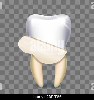 Tooth on transparent background Stock Vector Image & Art - Alamy