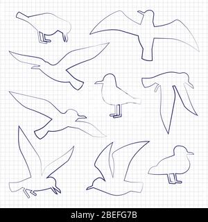 Thin line animal birds silhouettes on notebook background. Vector illustration Stock Vector