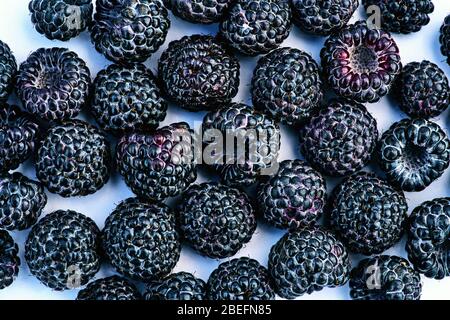 Fresh blackberry on the table. blackberry texture Stock Photo