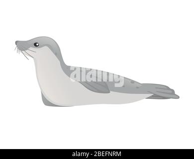 Cute seal cartoon animal design flat vector illustration isolated on white background Stock Vector