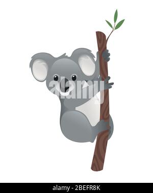 Illustration of koala on a tree branch Stock Vector Image & Art - Alamy