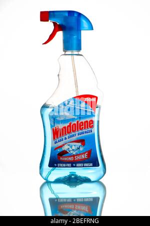 Windolene window cleaner bottle photographed in studio on white background with reflection. Stock Photo