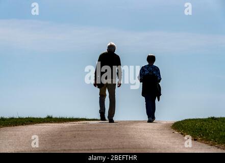 Two seniors go for a walk on a field path, Stock Photo