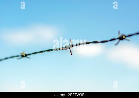 Close up barbed wire against blue sky Stock Photo