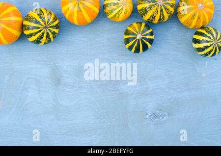Small decorative pumpkins on blue background. Country scene for thanksgiving or Halloween. Autumn time. Stock Photo