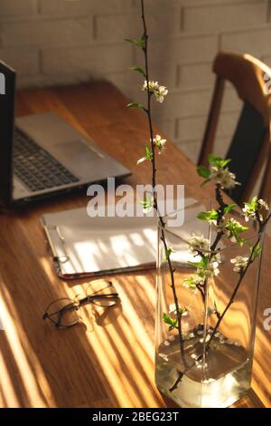 Minimalistic workplace at home on a wooden table in the shadows. Stock Photo