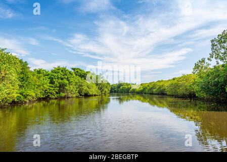 Views from the waterway in the  Monterrico Natural Reserve in Guatemala Stock Photo