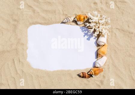 A note paper framed with sea sand, seashells and coral on golden sandy beach on a sunny day. Summer vacation and relaxation concept. Background with f Stock Photo