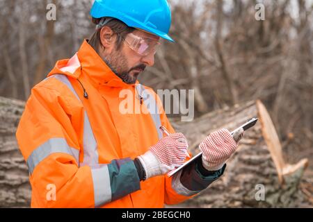 Forestry technician collecting data notes in forest during logging process Stock Photo