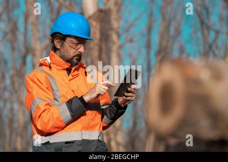 Forestry technician using digital tablet computer in forest for logging data collecting during deforestation Stock Photo