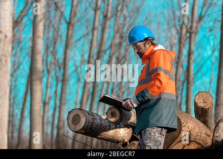 Forestry technician writing logging process notes on clipboard notepad in forest leaning on to cut down tree trunks Stock Photo